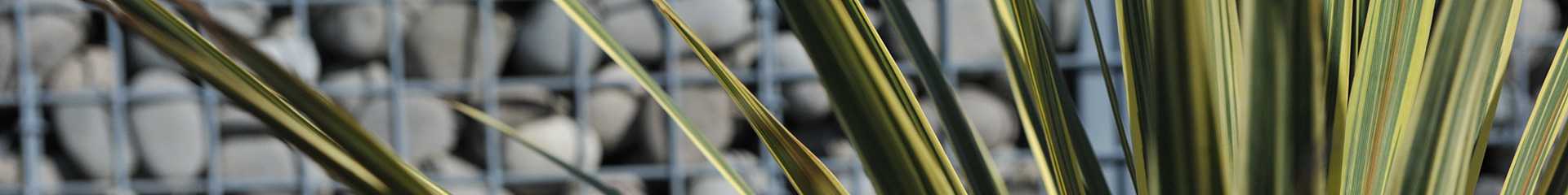 216 environmental sustainability